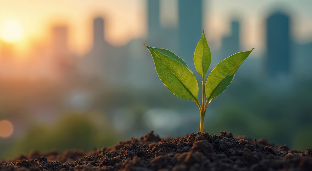 The Voluntary Climate Marketplace